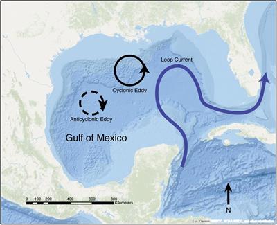 The Influence of Eddies on Coral Larval Retention in the Flower Garden Banks